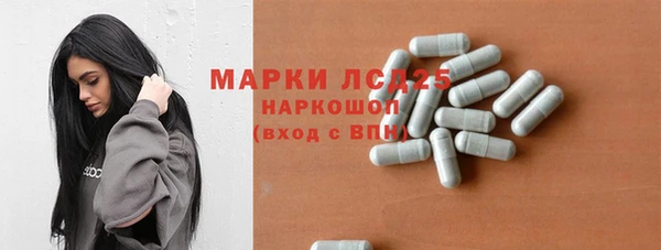 СК Алексин