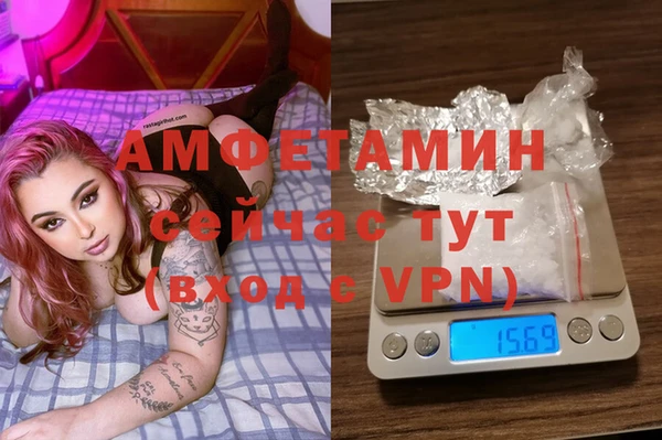 СК Алексин
