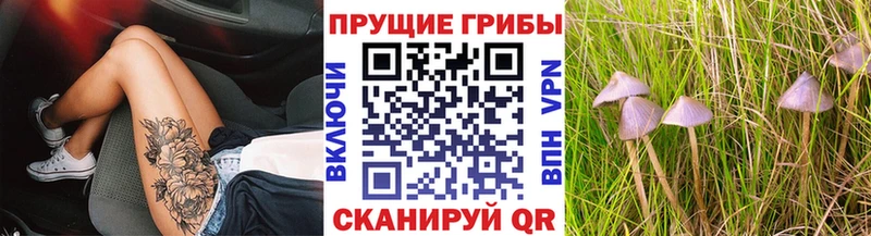 Псилоцибиновые грибы MAGIC MUSHROOMS  OMG tor  Княгинино  дарнет шоп 